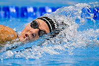 MS23 Seemanova 200K rozpl