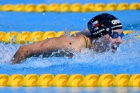 Nabojcenko LSU small